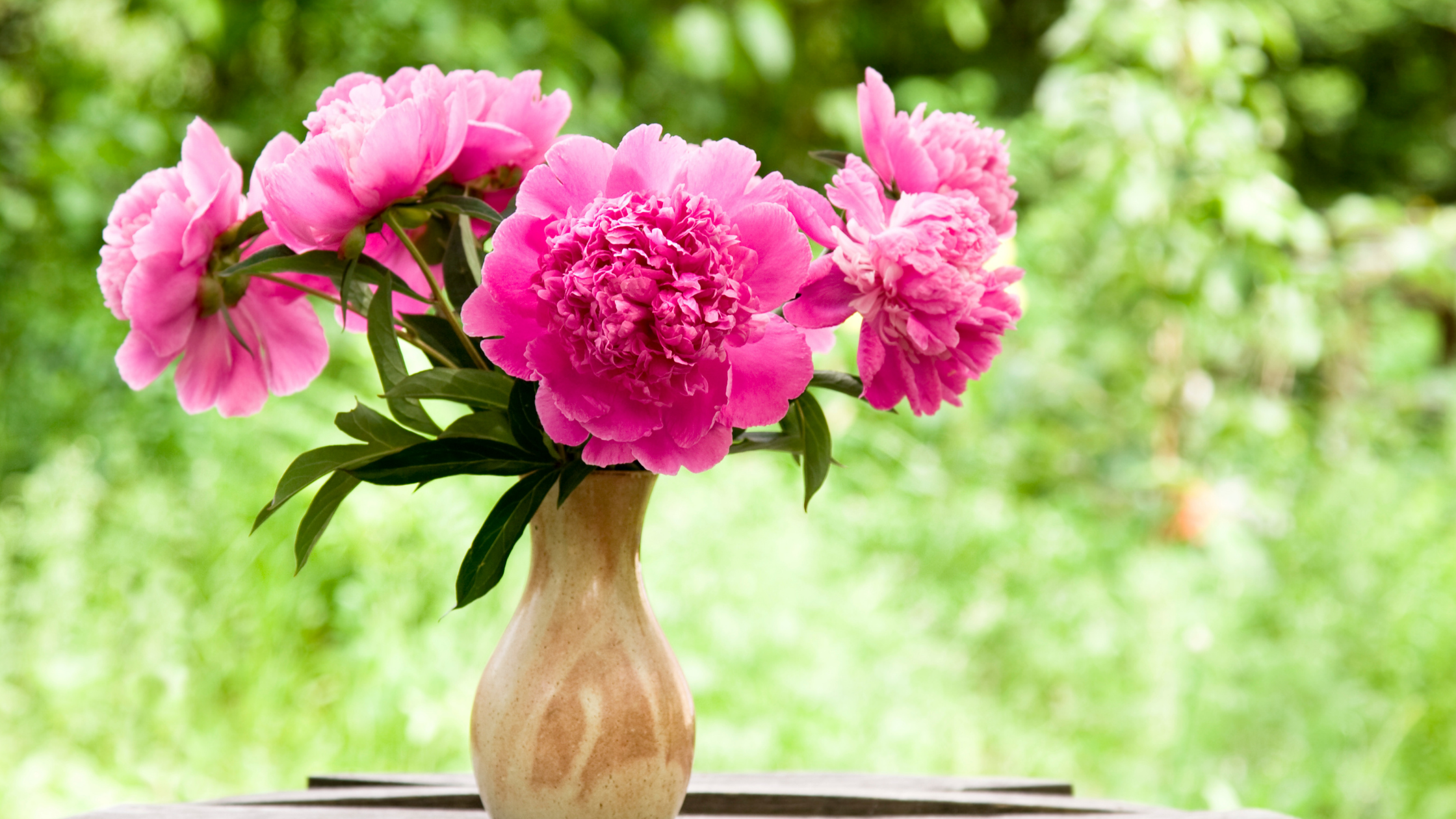 Pink peonies in a wooden vase against a backdrop of trees