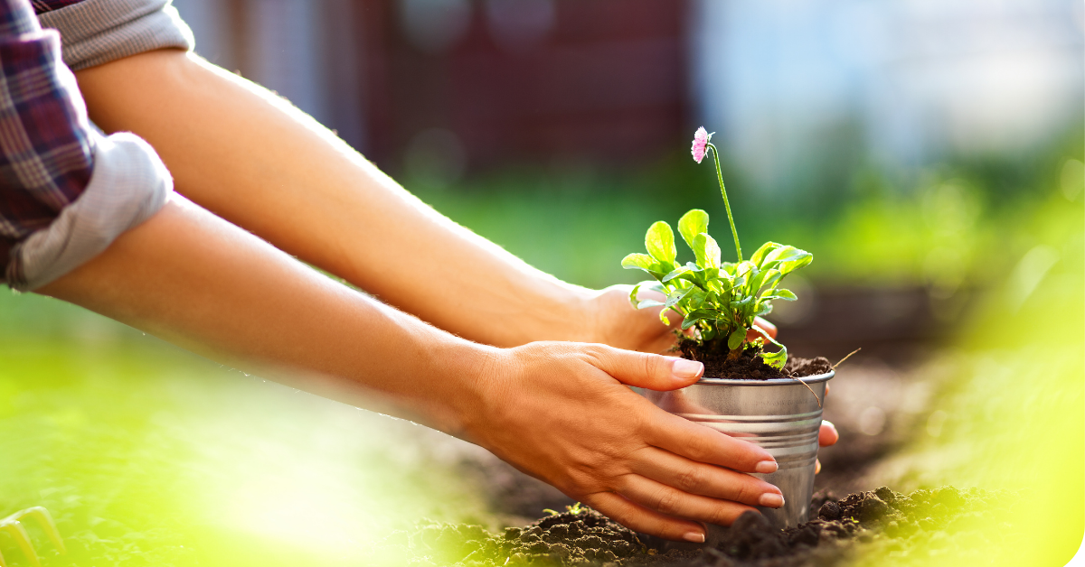8 Ways Gardening Can Help Your Community JParkers