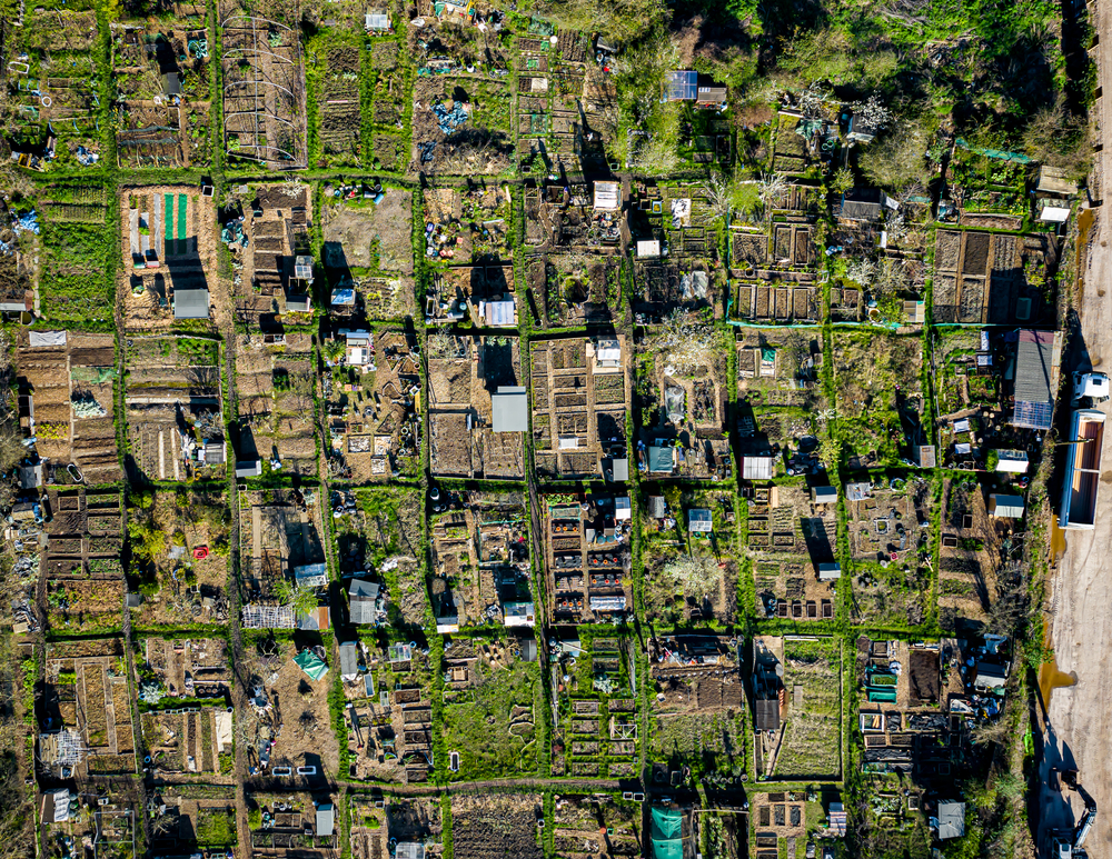 aerial image of allotments aerial image of allotments