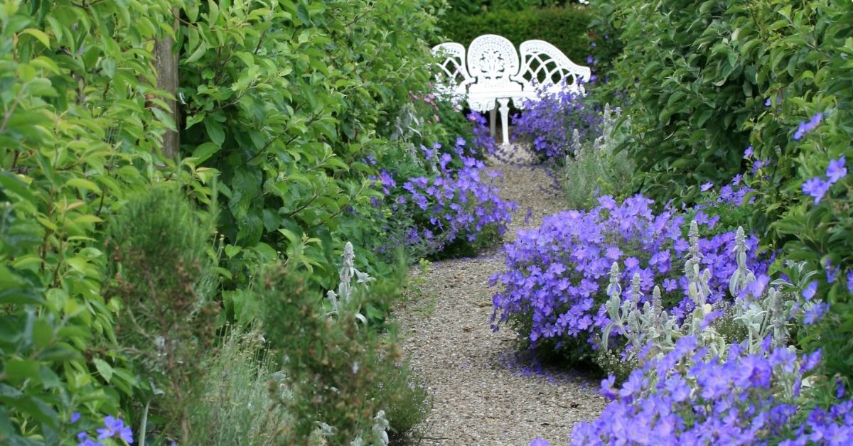 Best Plants for Gravel Gardens JParkers