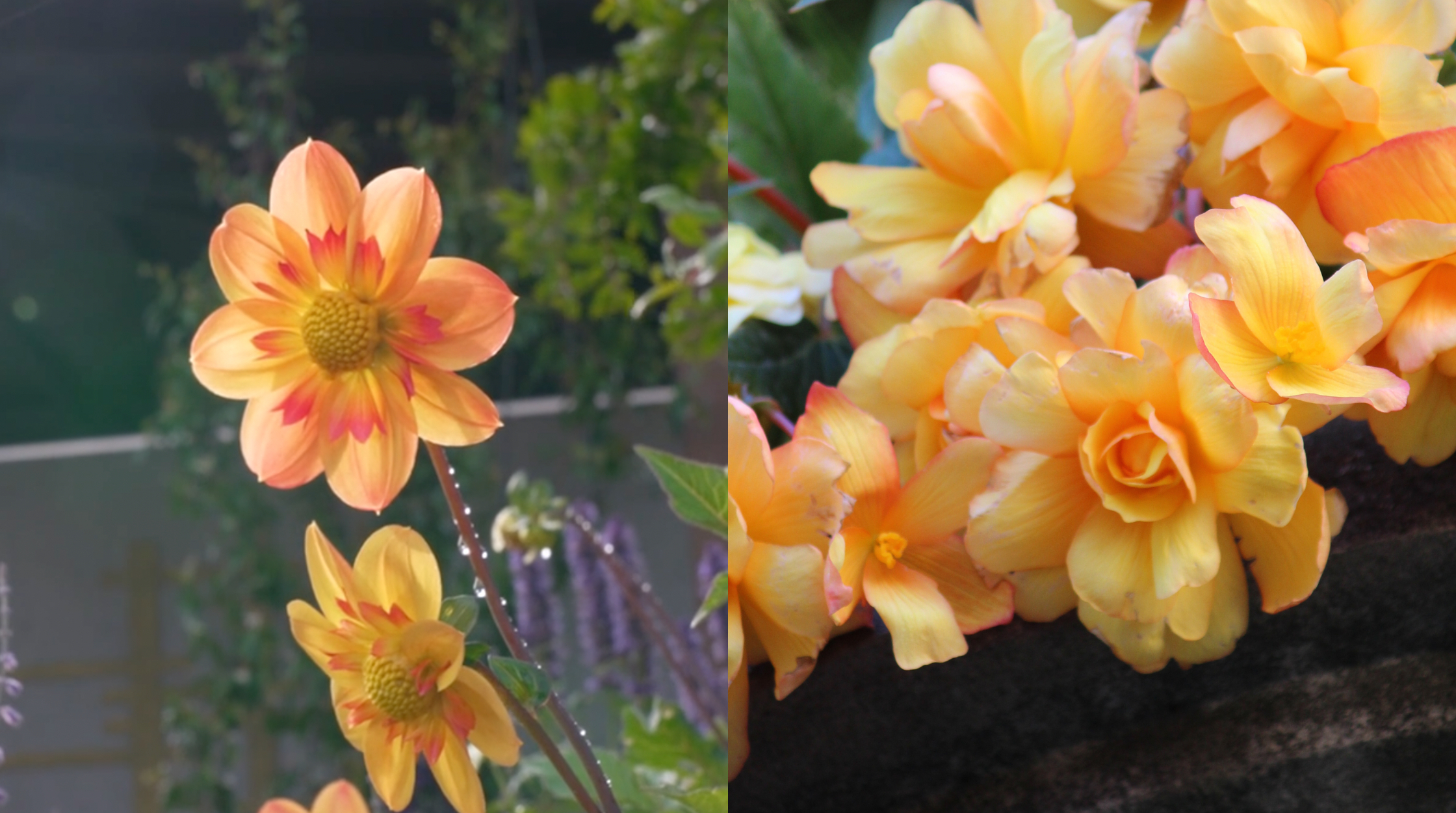 blog-banners-3-gardening-jobs-for-april-image-2.jpeg