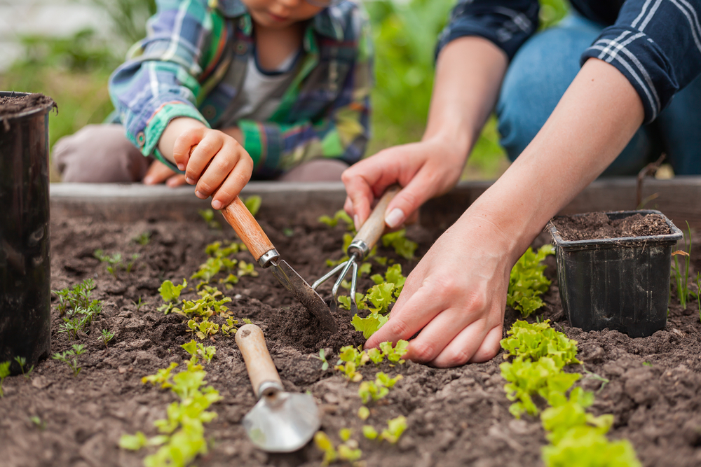 parent and child digging in the flower bed