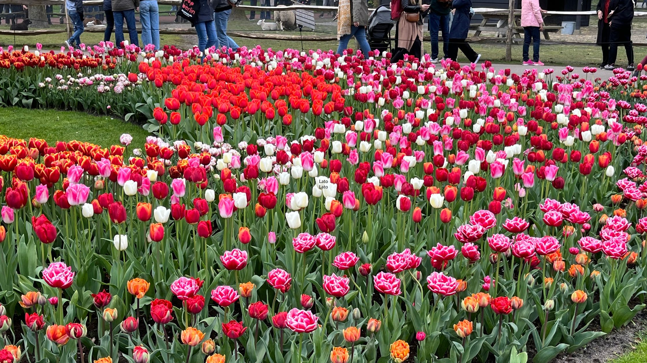 Castlefield Viaduct Manchester’s Newest Sky Garden JParkers
