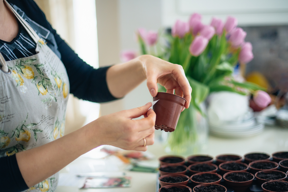 A faceless woman putting a label on a flower seed pot