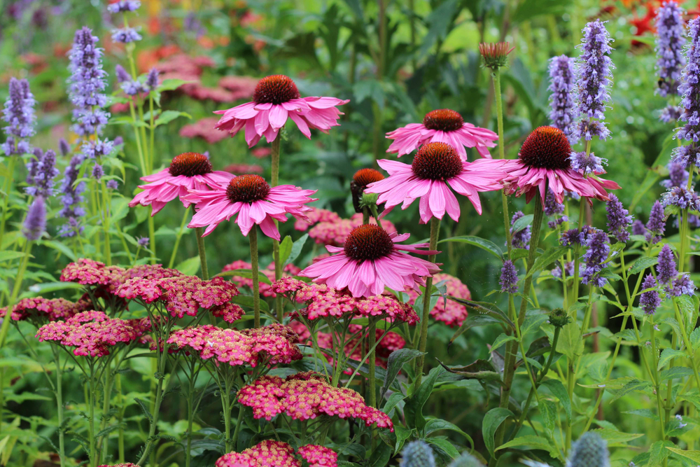 Garden Trends for 2024 to Look Out For JParkers