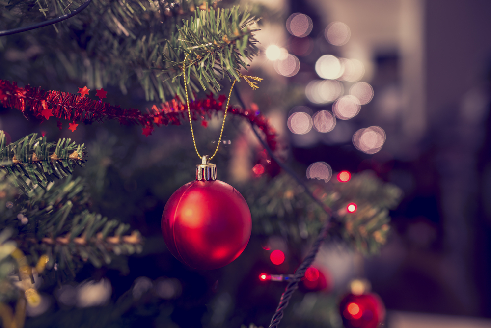 The History of Christmas Trees - Festive History - JParkers