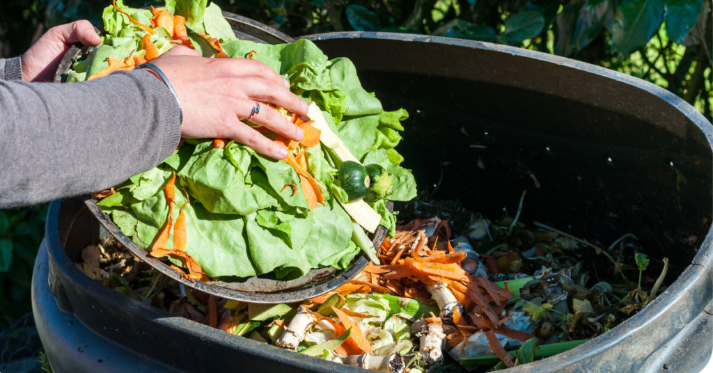 A person composting a large pile of lettuce.