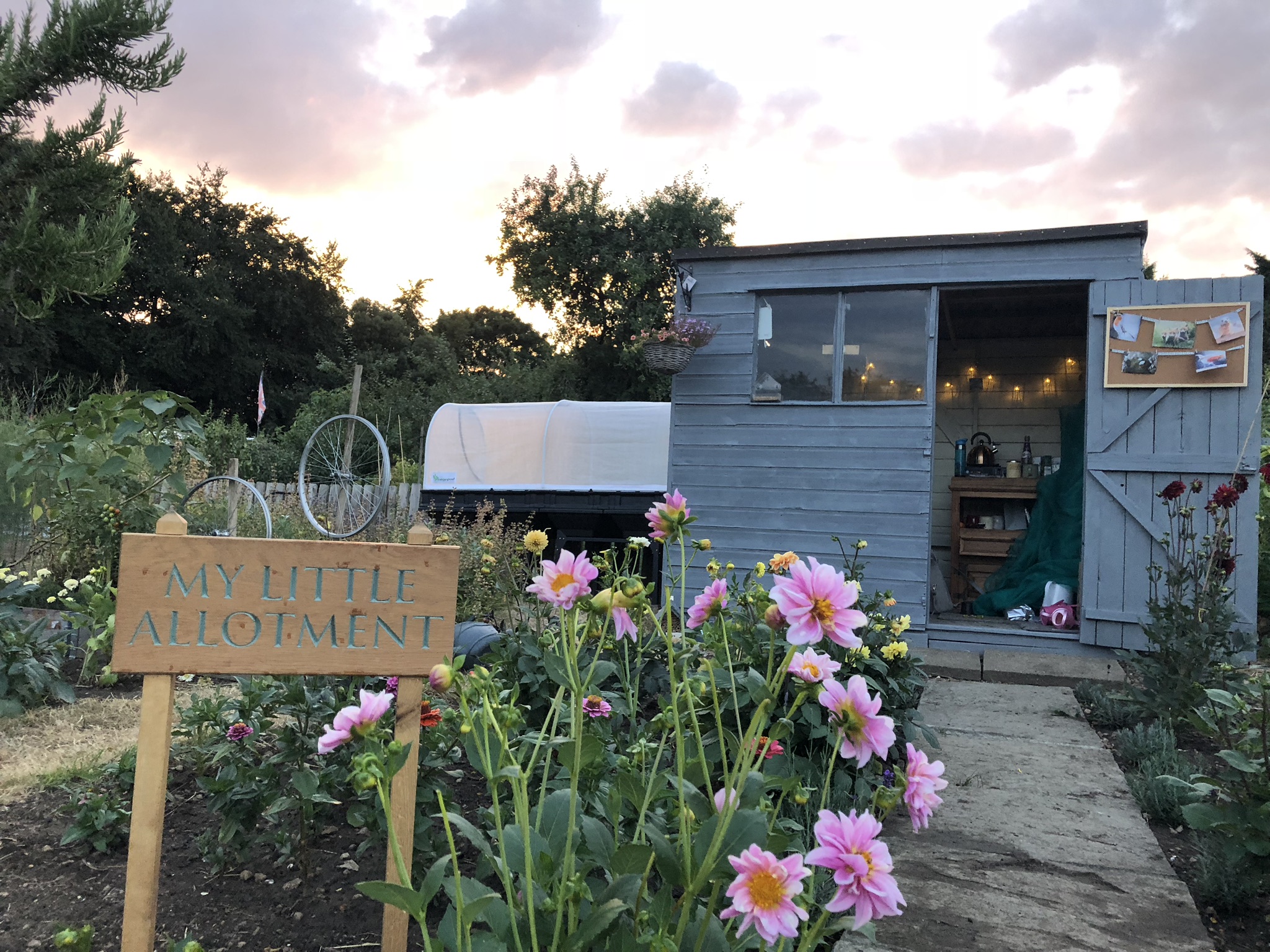 Kirsty Ward The Gardener Teaching Us How To Grow Our Own JParkers