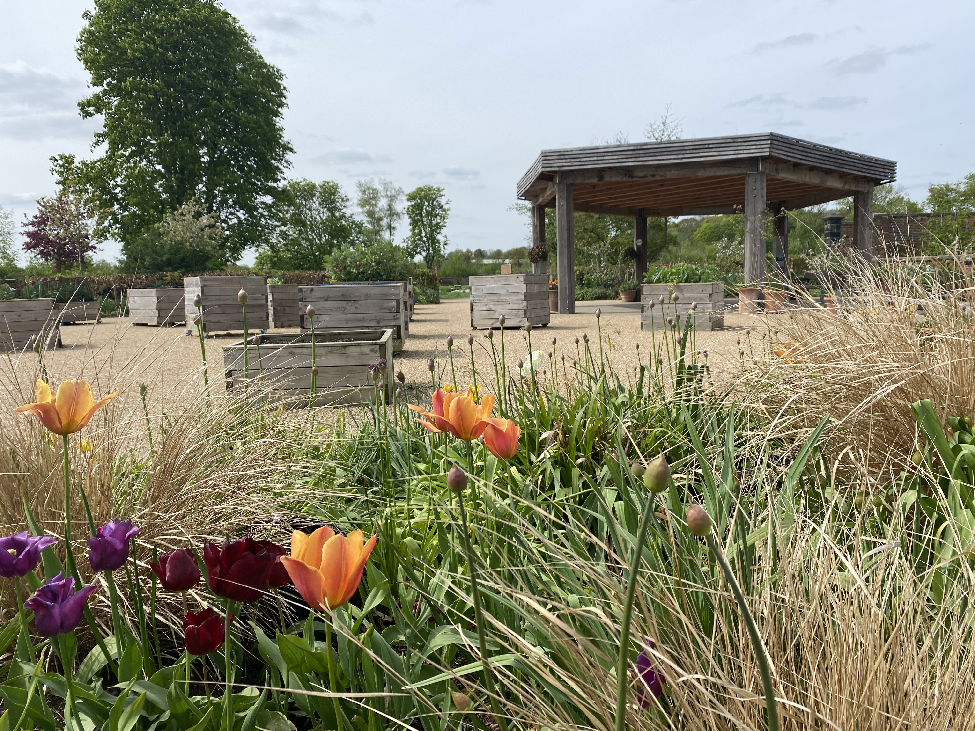 A pergola at RHS Bridgewater