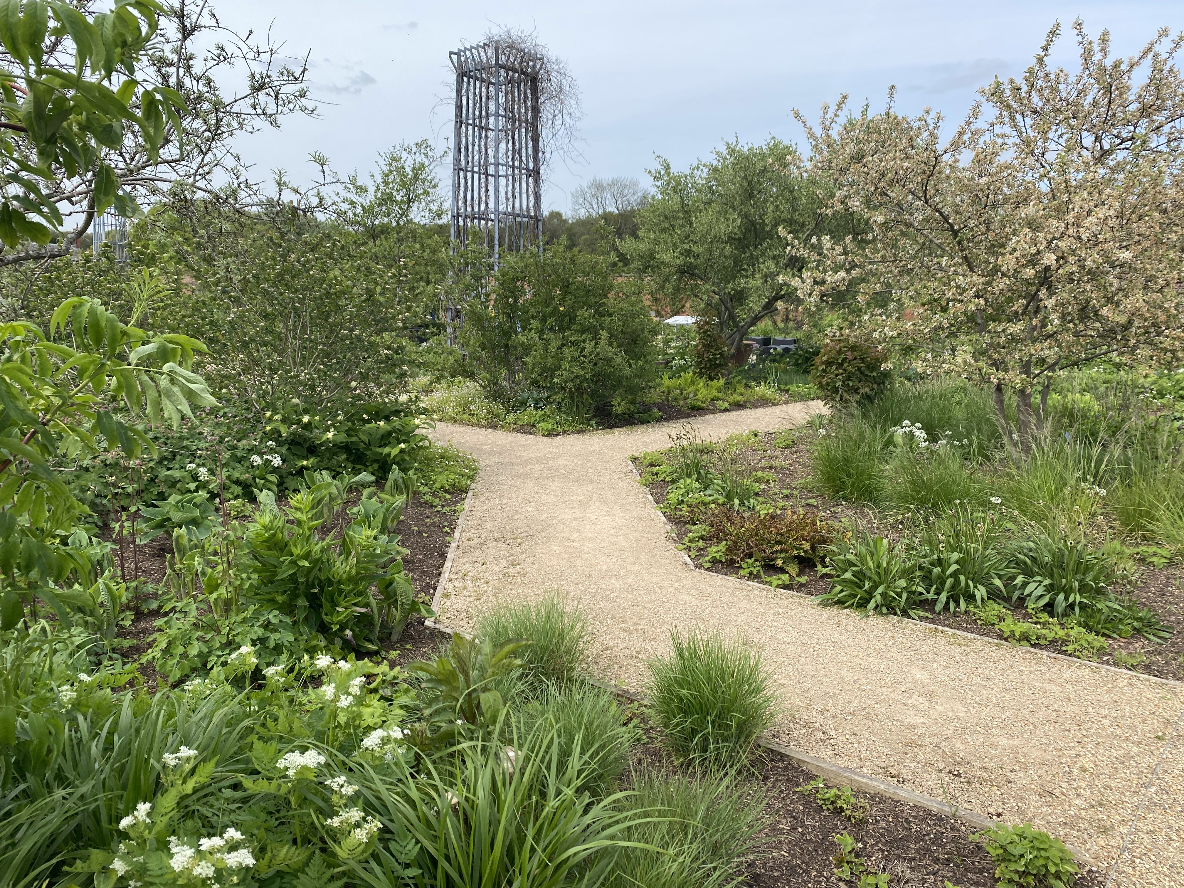 Trees alongside a beige gravelled pathway