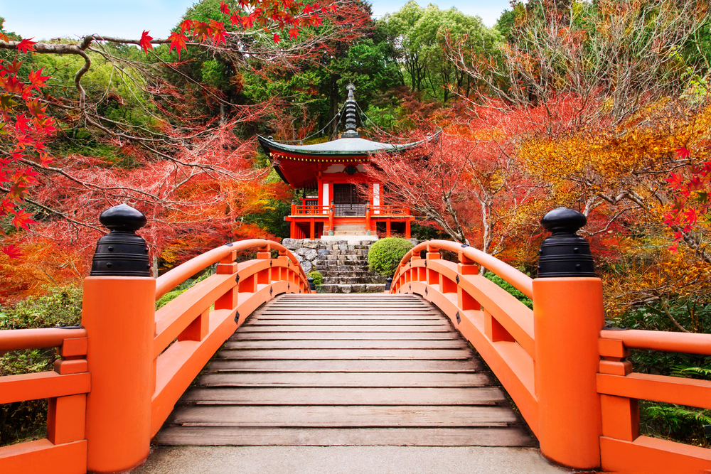 orange Japanese garden bridge
