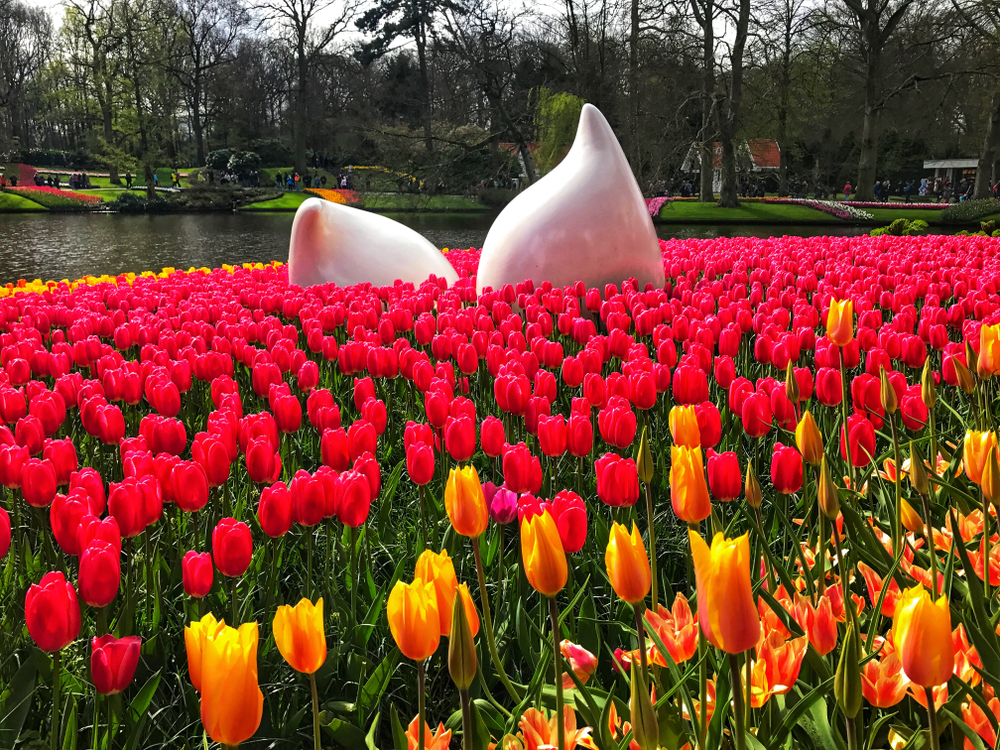 a pink statue sitting in a field of pink tulips