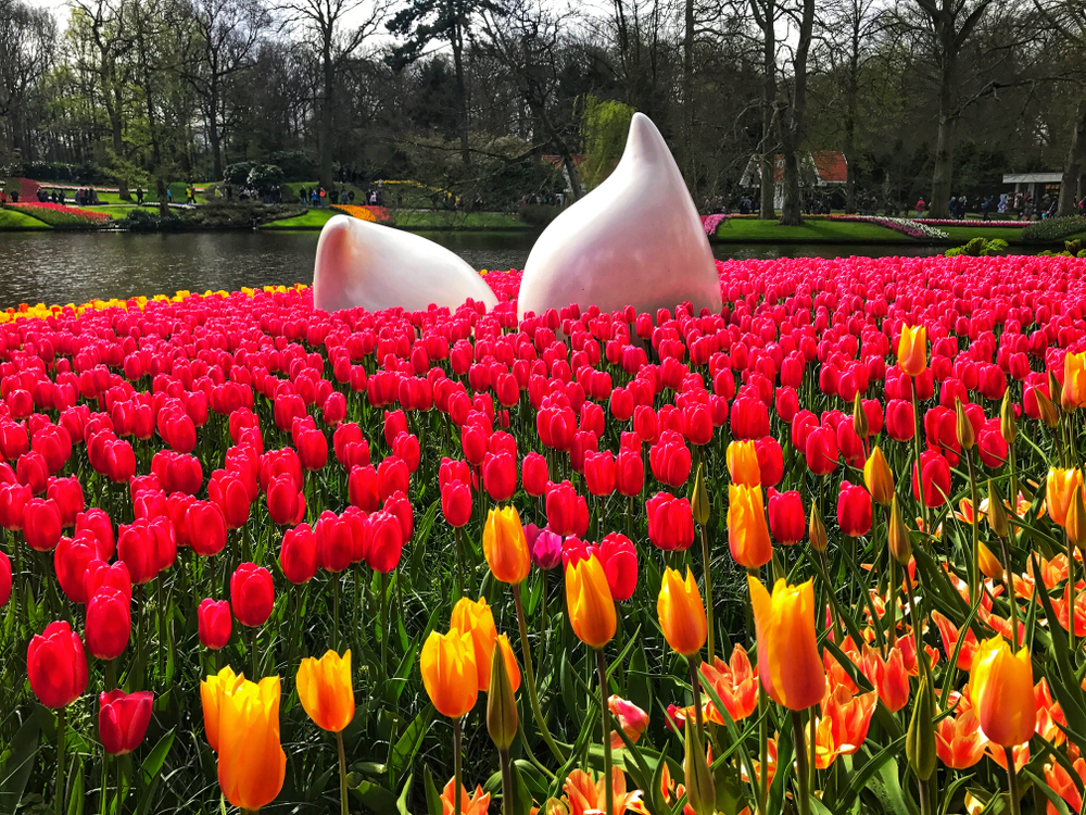 a pink statue sitting in a field of pink tulips a pink statue sitting in a field of pink tulips