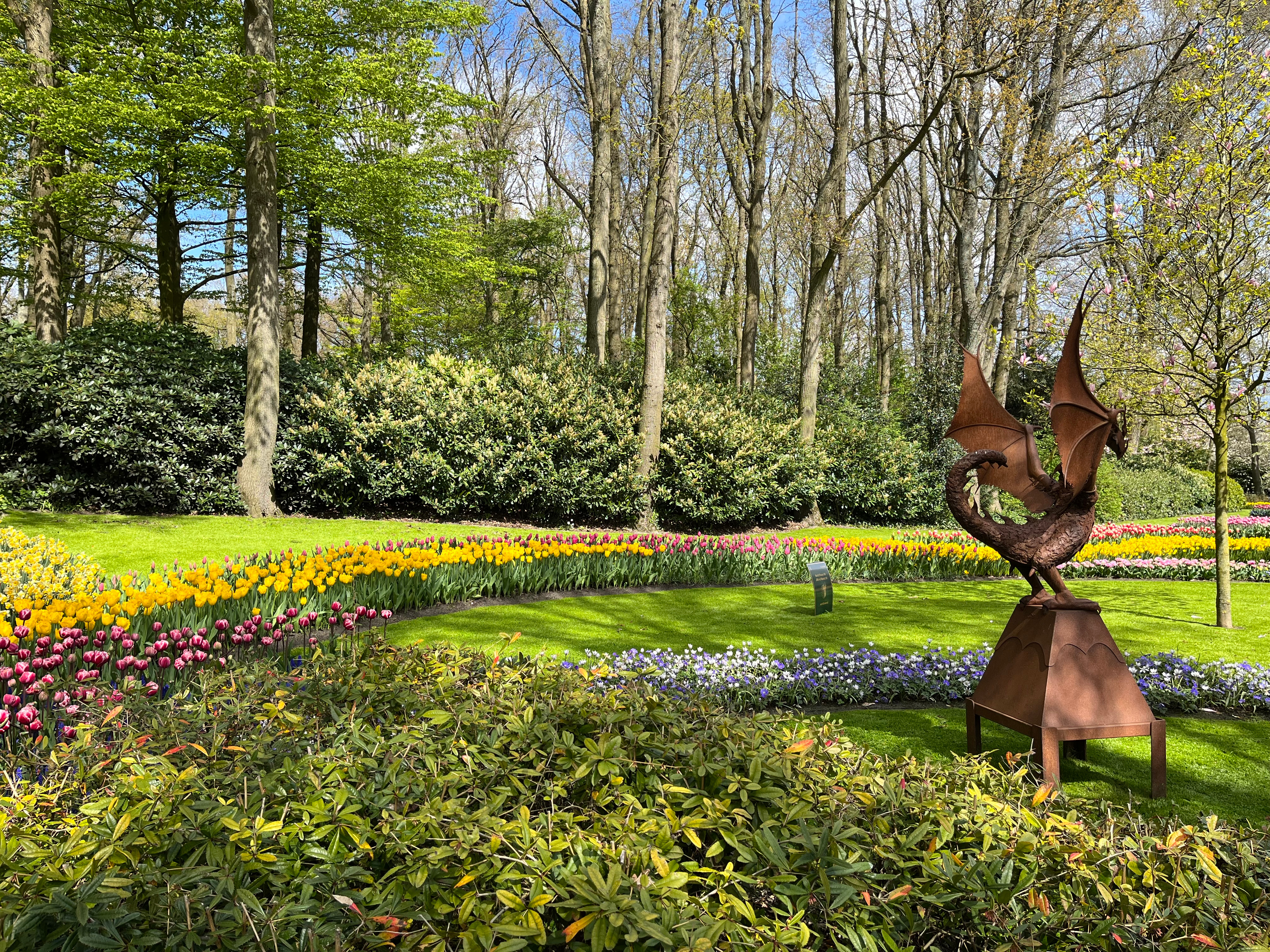 a flower bed full of mixed colour tulips in front of the keukenhof windmill a flower bed full of mixed colour tulips in front of the keukenhof windmill