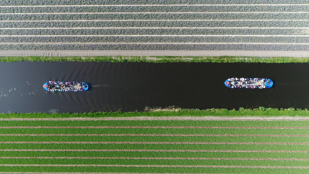 aerial image of two boats in a river surrounded by greenery