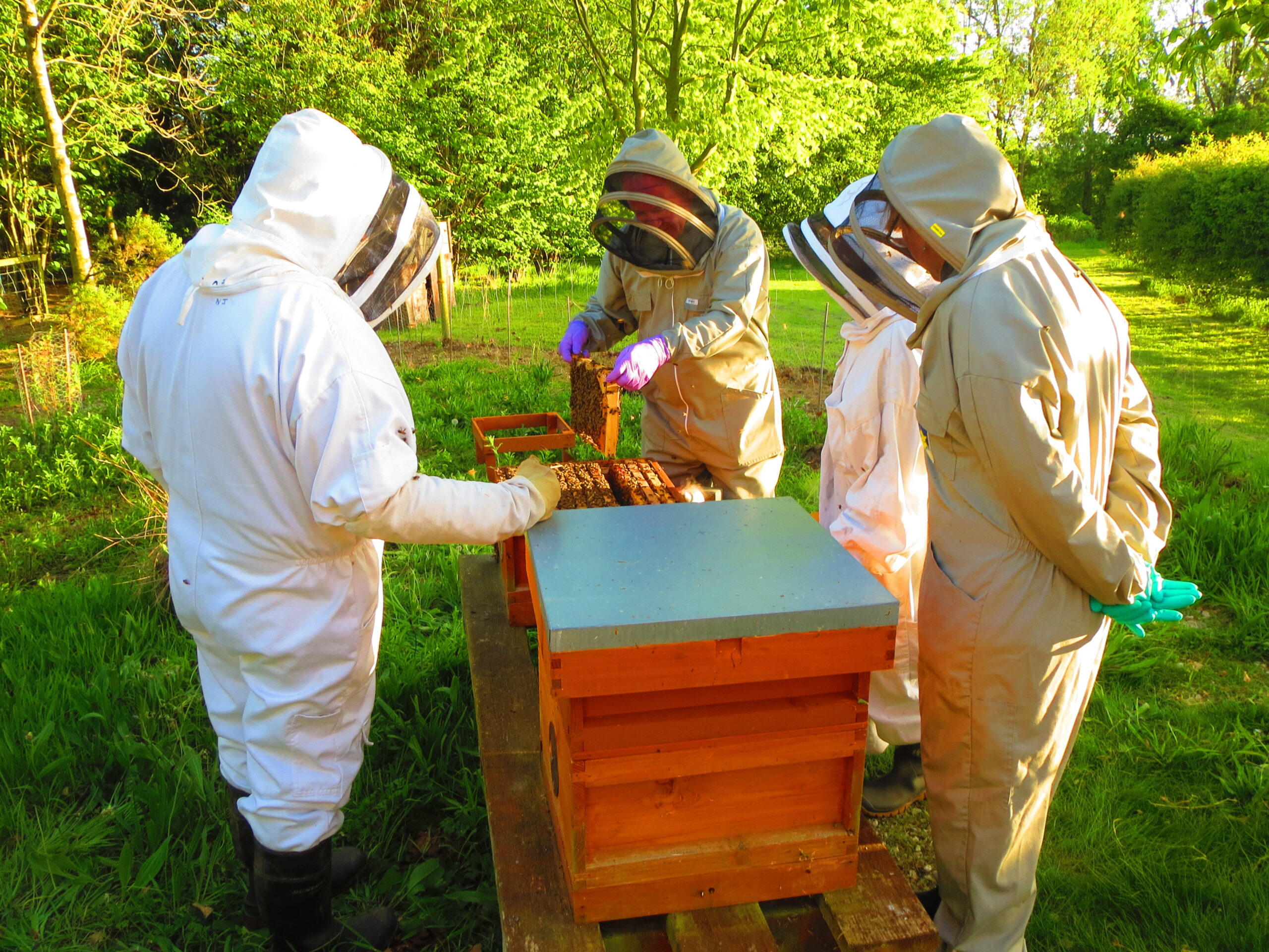 beekeepers in groups in a garden