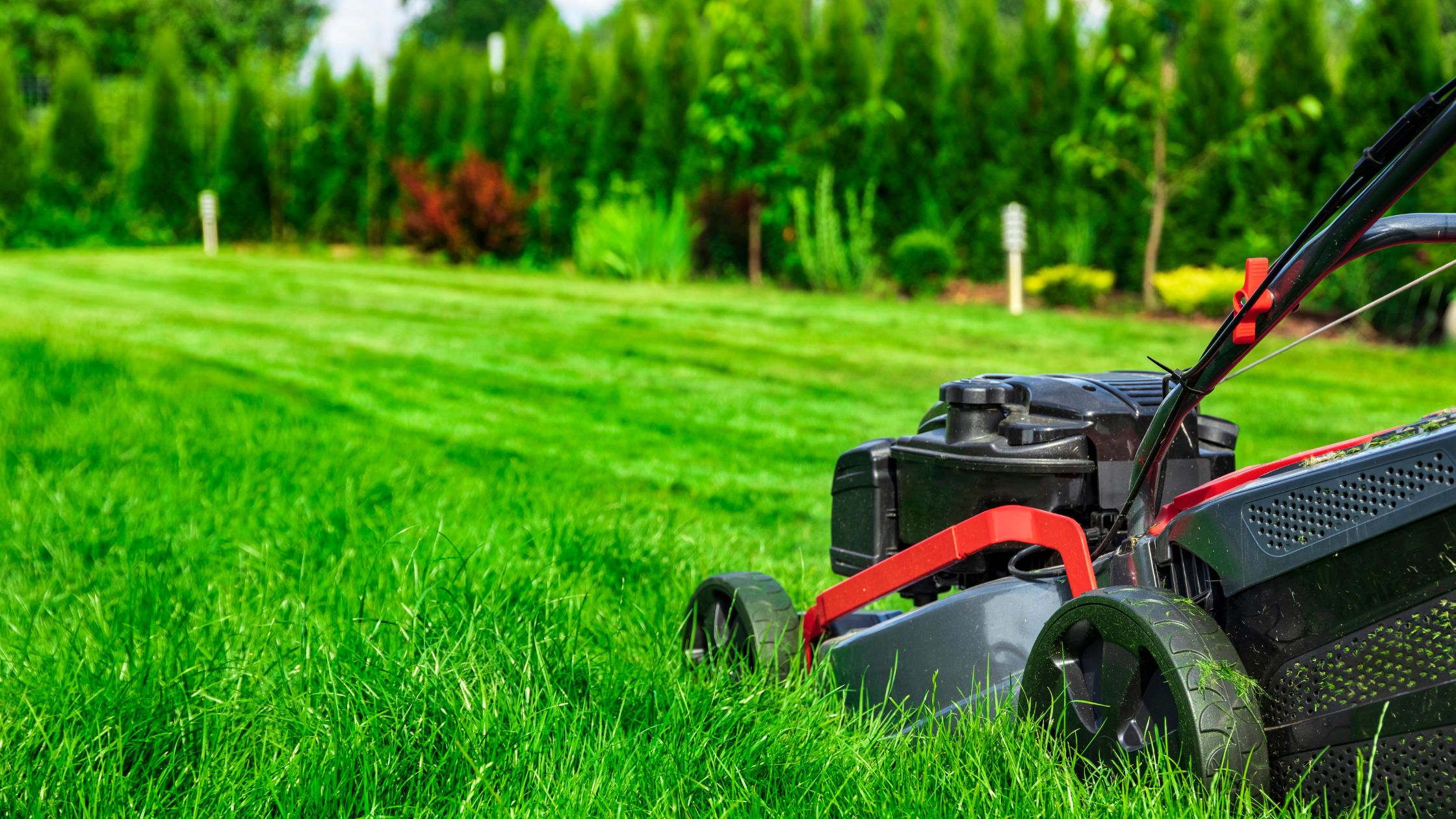 lawn mower used to kill weeds permanently