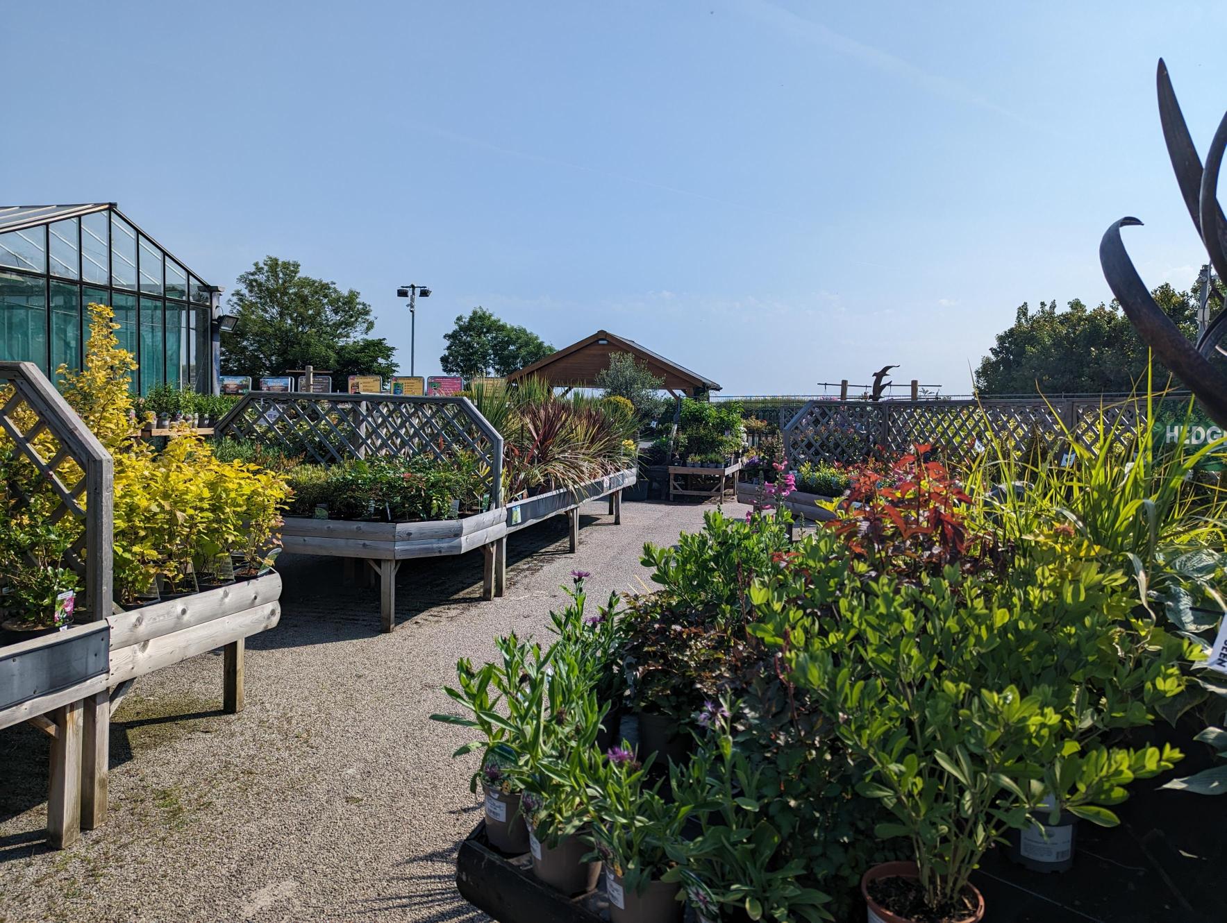 Plenty of seasonal plants inside the garden centre