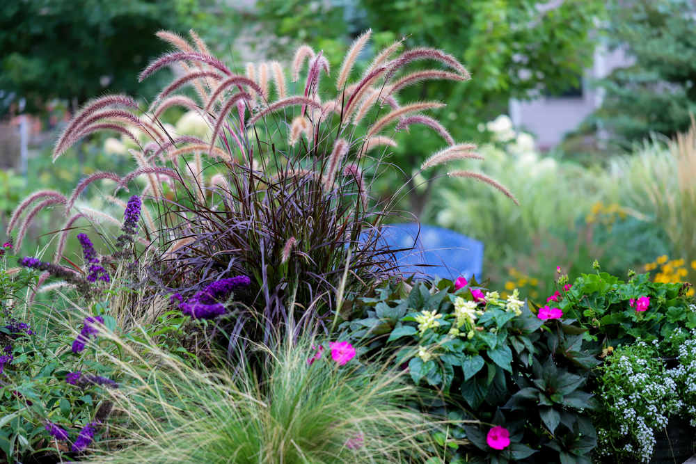 Perfect Plant Combos What to Plant with Grasses JParkers
