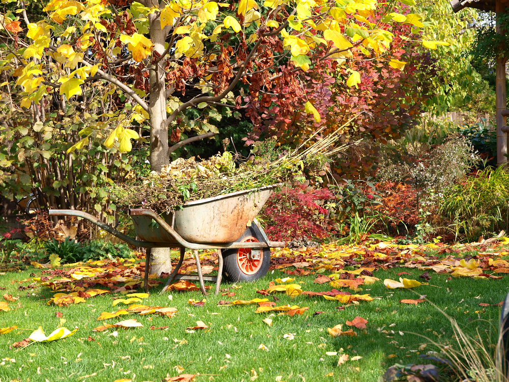 10 Tips to Get Your Garden Ready for Autumn JParkers