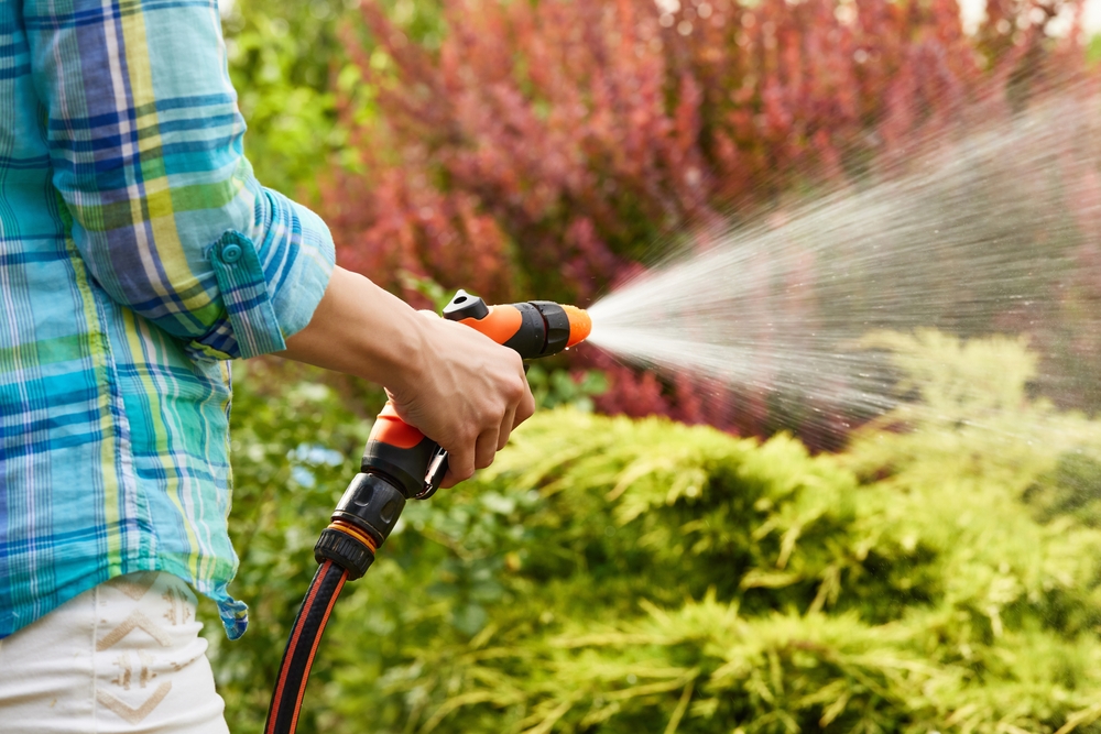woman watering in the garden with a hose
