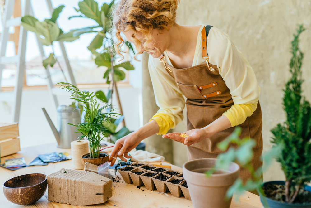 lady sowing seeds indoors