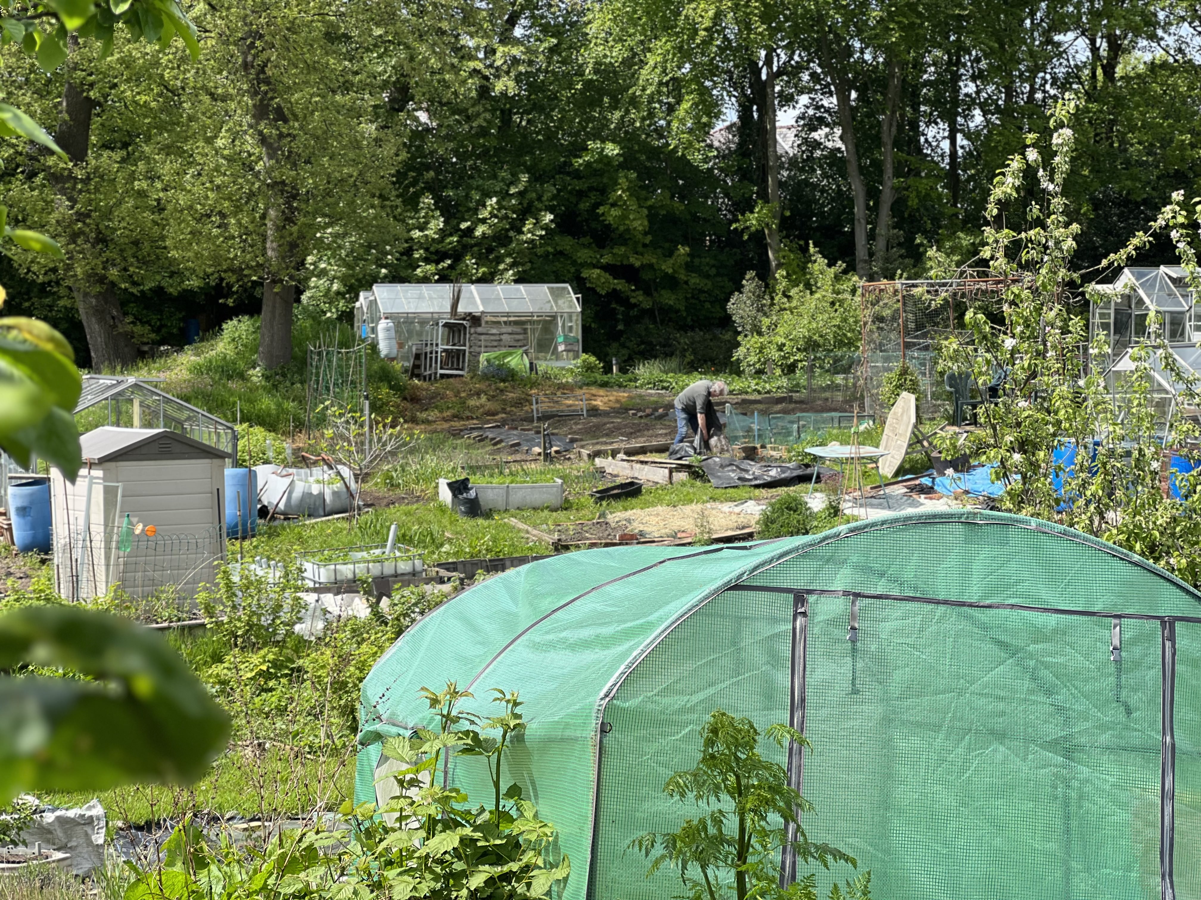 an allotment in a wide angle